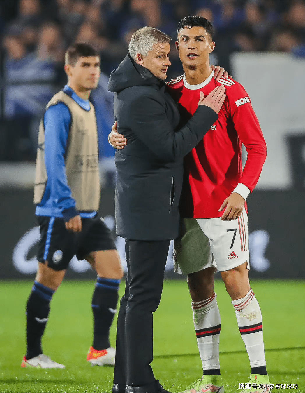 体育直播-猛虎队口号八个字